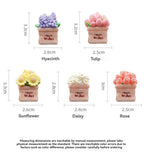 2025 new center console healing series potted plants