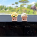 2025 new center console healing series potted plants